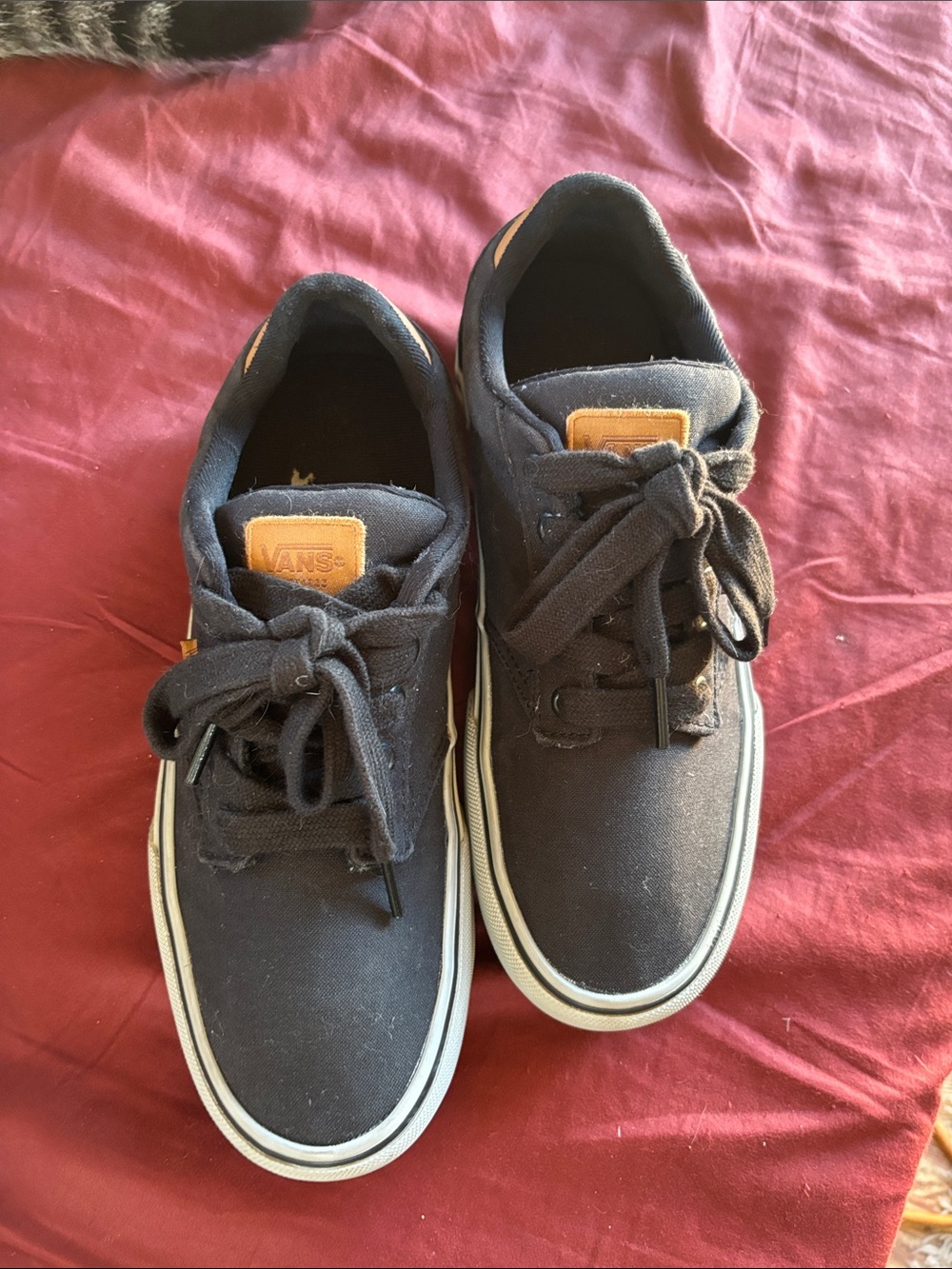 Vans Black Canvas Low-Top Sneakers with White Midsole